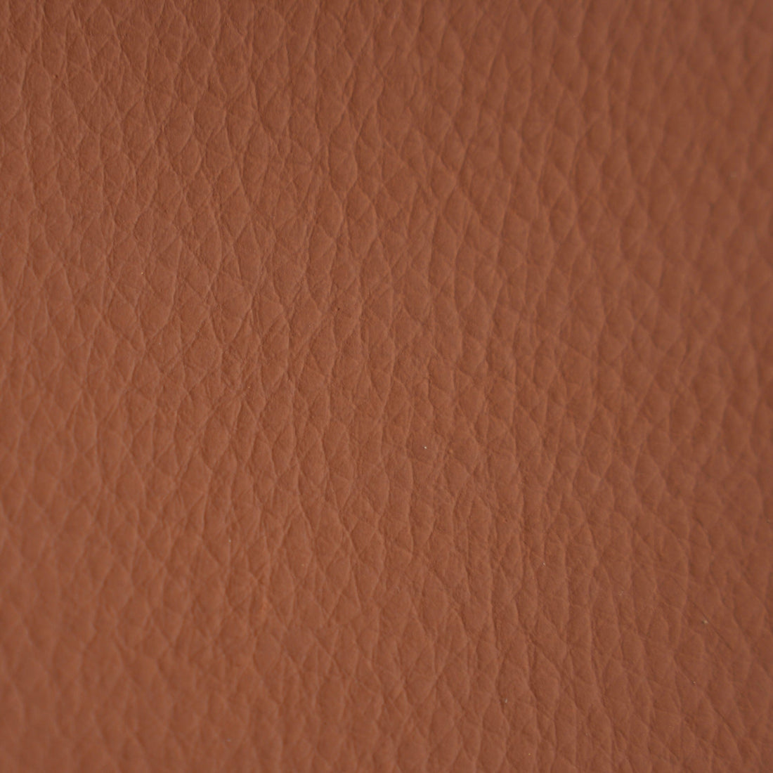 Eco Genuine Leather - Verra Living